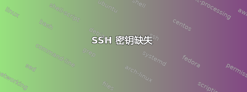 SSH 密钥缺失