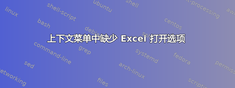 上下文菜单中缺少 Excel 打开选项