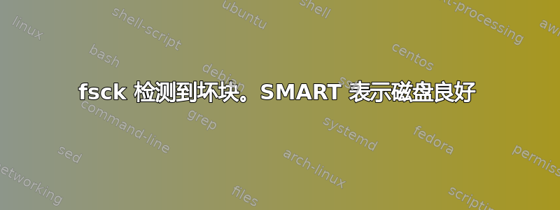 fsck 检测到坏块。SMART 表示磁盘良好