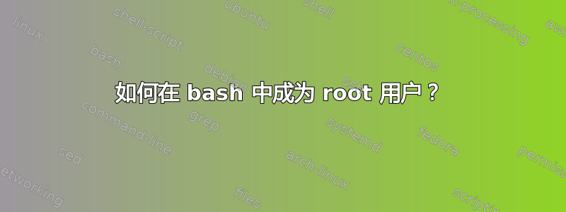 如何在 bash 中成为 root 用户？