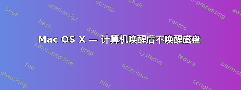 Mac OS X — 计算机唤醒后不唤醒磁盘