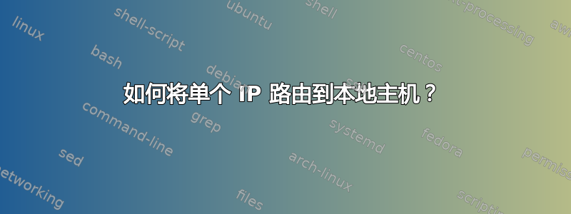 如何将单个 IP 路由到本地主机？