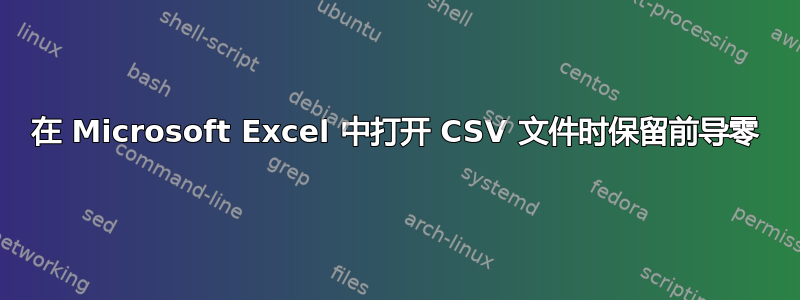 在 Microsoft Excel 中打开 CSV 文件时保留前导零