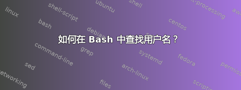 如何在 Bash 中查找用户名？