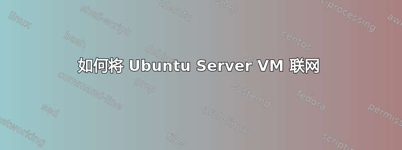 如何将 Ubuntu Server VM 联网