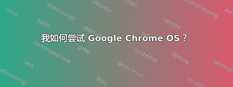 我如何尝试 Google Chrome OS？