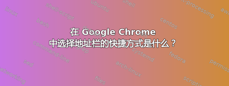 在 Google Chrome 中选择地址栏的快捷方式是什么？