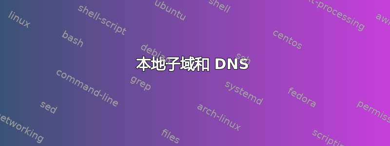 本地子域和 DNS