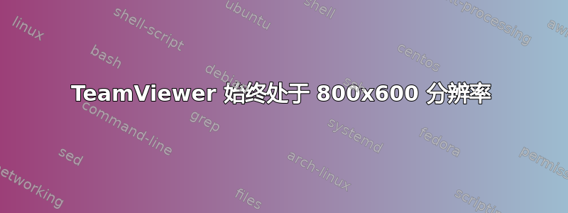 TeamViewer 始终处于 800x600 分辨率