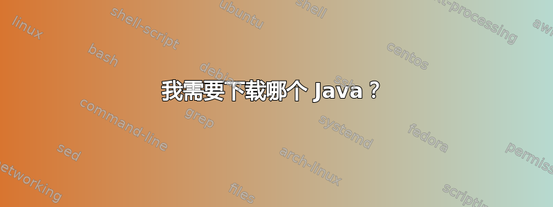 我需要下载哪个 Java？