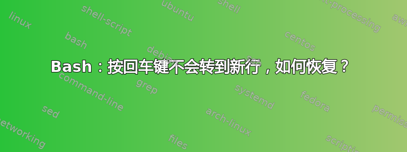 Bash：按回车键不会转到新行，如何恢复？