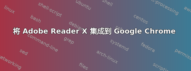 将 Adob​​e Reader X 集成到 Google Chrome