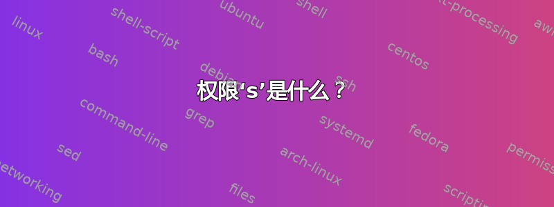 权限‘s’是什么？