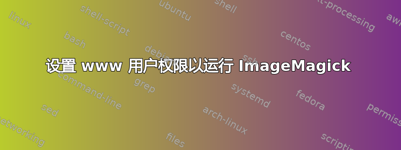 设置 www 用户权限以运行 ImageMagick