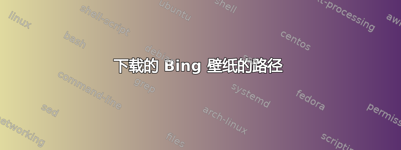 下载的 Bing 壁纸的路径