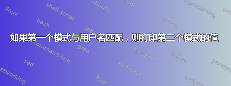 如果第一个模式与用户名匹配，则打印第二个模式的值