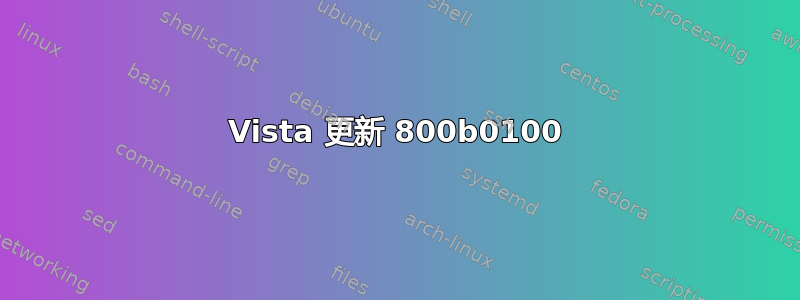 Vista 更新 800b0100