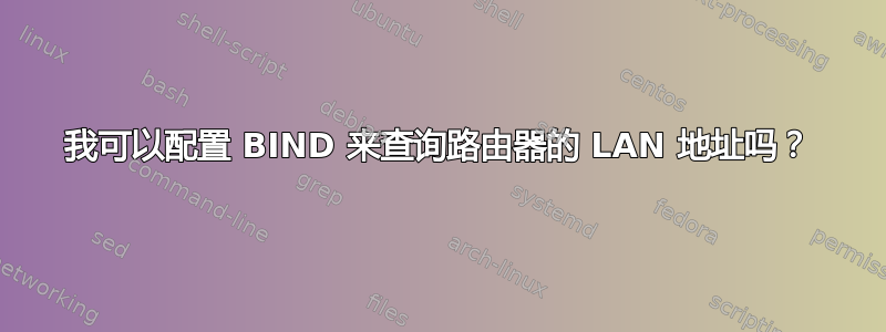 我可以配置 BIND 来查询路由器的 LAN 地址吗？