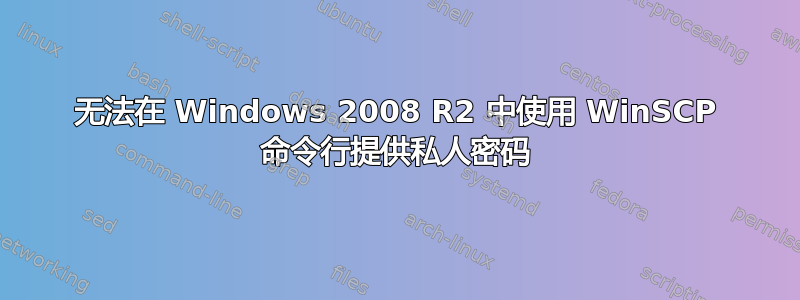 无法在 Windows 2008 R2 中使用 WinSCP 命令行提供私人密码