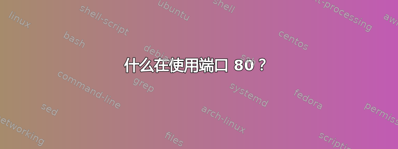 什么在使用端口 80？