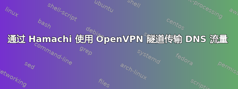 通过 Hamachi 使用 OpenVPN 隧道传输 DNS 流量