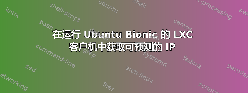 在运行 Ubuntu Bionic 的 LXC 客户机中获取可预测的 IP