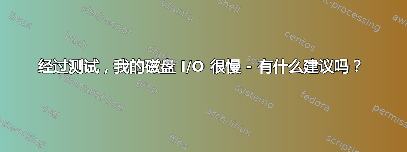 经过测试，我的磁盘 I/O 很慢 - 有什么建议吗？