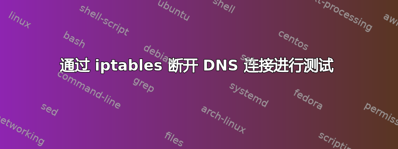 通过 iptables 断开 DNS 连接进行测试