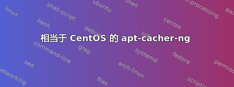 相当于 CentOS 的 apt-cacher-ng