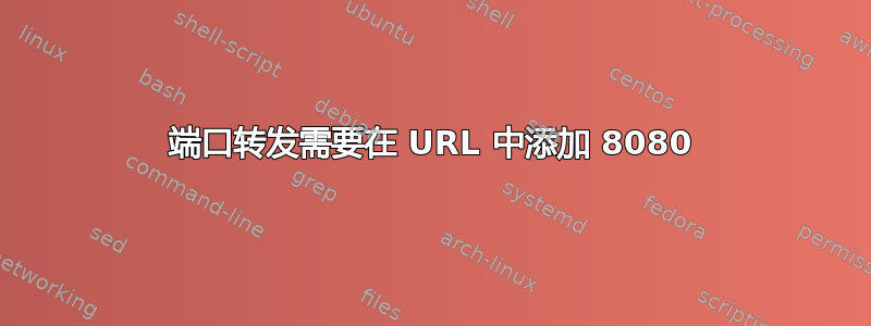 端口转发需要在 URL 中添加 8080