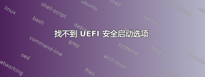 找不到 UEFI 安全启动选项