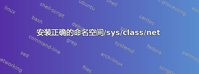 安装正确的命名空间/sys/class/net