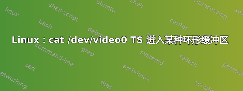 Linux：cat /dev/video0 TS 进入某种环形缓冲区