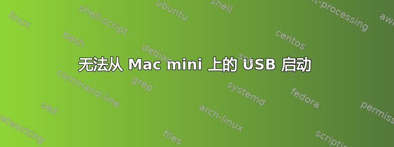 无法从 Mac mini 上的 USB 启动