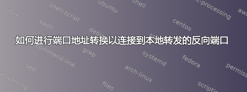 如何进行端口地址转换以连接到本地转发的反向端口