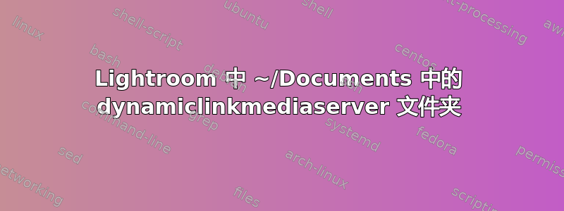 Lightroom 中 ~/Documents 中的 dynamiclinkmediaserver 文件夹