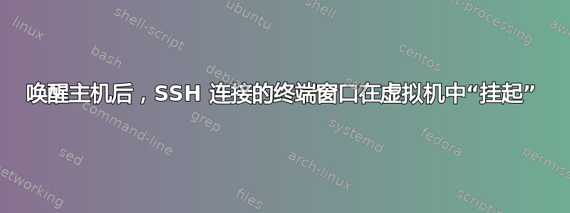 唤醒主机后，SSH 连接的终端窗口在虚拟机中“挂起”