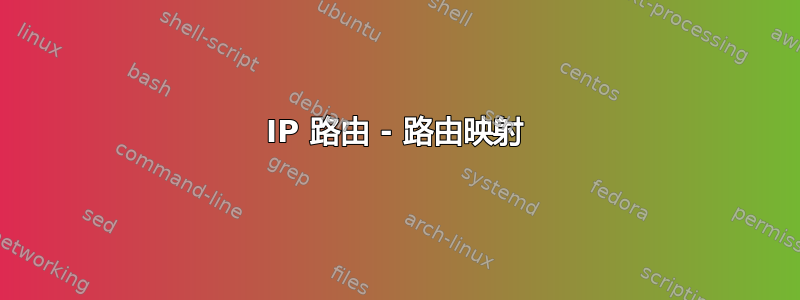 IP 路由 - 路由映射