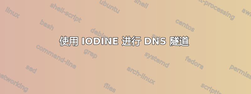 使用 IODINE 进行 DNS 隧道