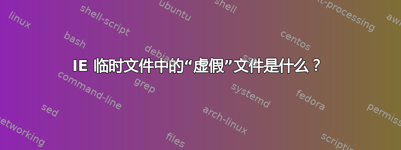 IE 临时文件中的“虚假”文件是什么？