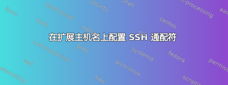 在扩展主机名上配置 SSH 通配符