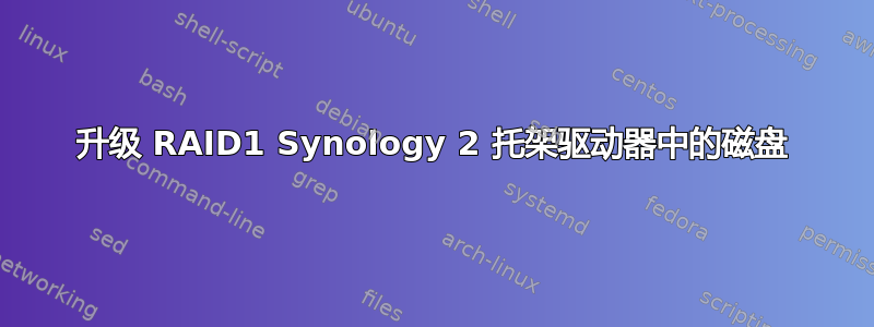 升级 RAID1 Synology 2 托架驱动器中的磁盘