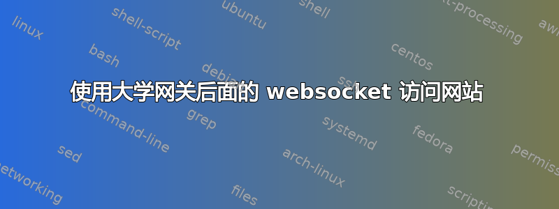 使用大学网关后面的 websocket 访问网站