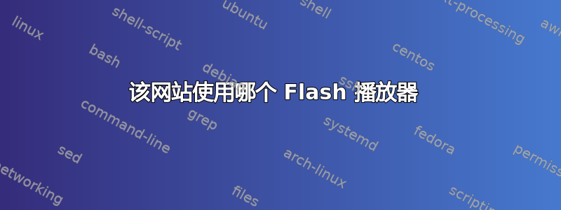 该网站使用哪个 Flash 播放器 