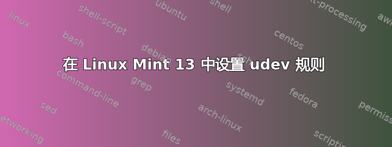 在 Linux Mint 13 中设置 udev 规则