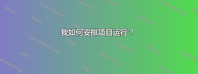 我如何安排项目运行？