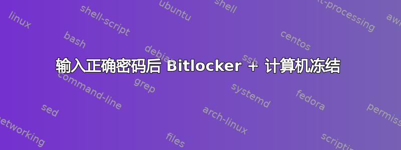 输入正确密码后 Bitlocker + 计算机冻结