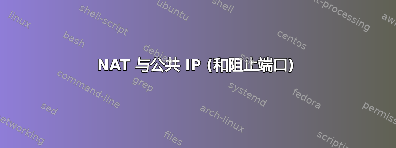 NAT 与公共 IP (和阻止端口)