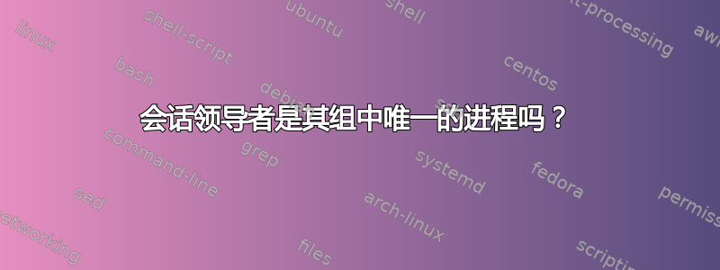 会话领导者是其组中唯一的进程吗？