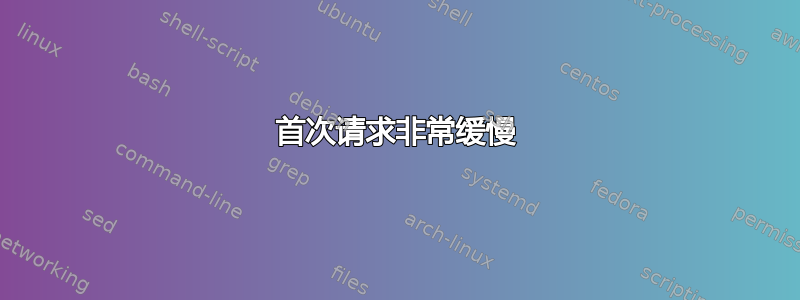 首次请求非常缓慢